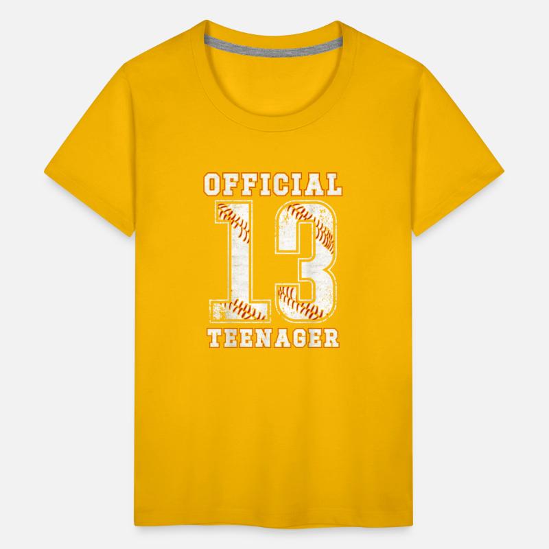 13th Birthday Boy Party Baseball Teenage