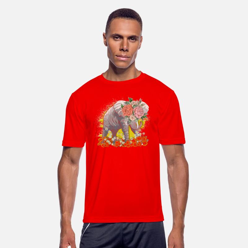 Elephant Elephants Elephant Proboscis Zoo Circus