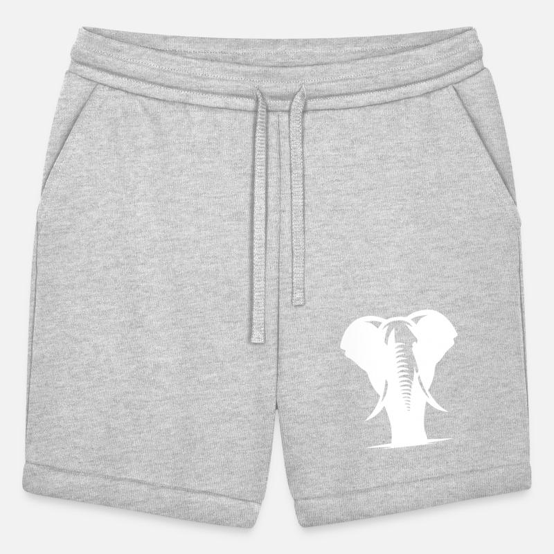 Elephant Portrait - Safari Trunked Animal