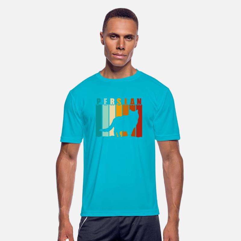 Persian Cat House Cat Kitten