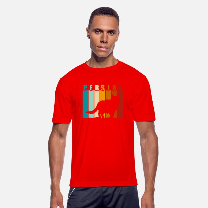 Persian Cat House Cat Kitten