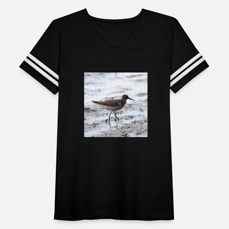 Sandpiper walking along the shore