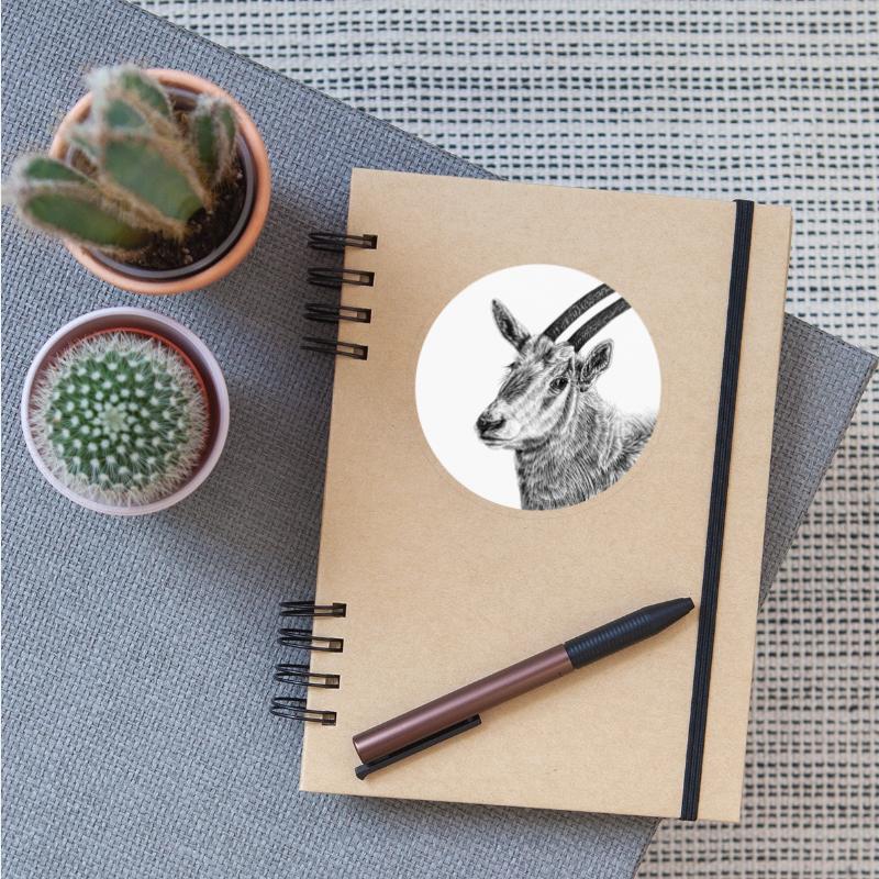 Scimitar-horned oryx