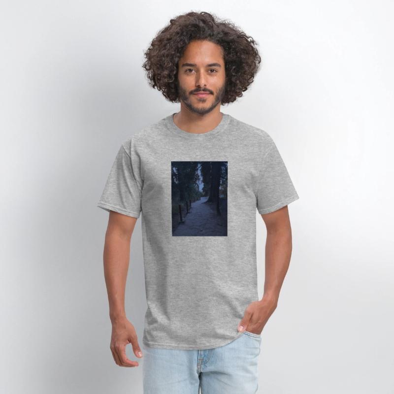 Serenity of Nathia Gali Nights