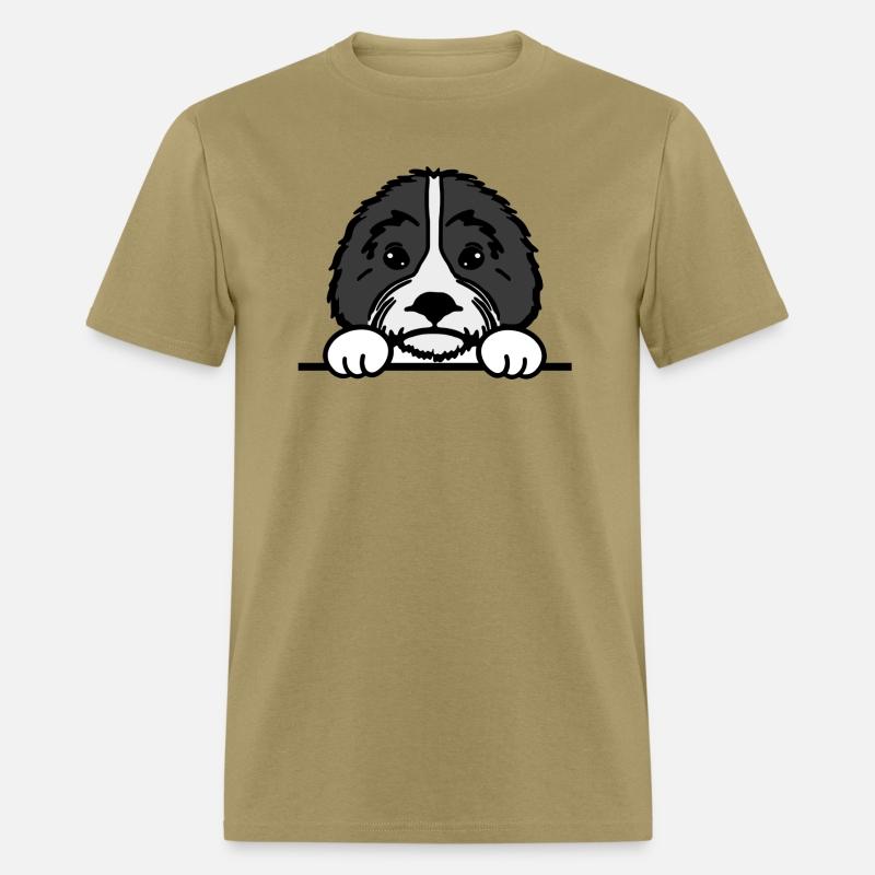 Shih Tzu Dog