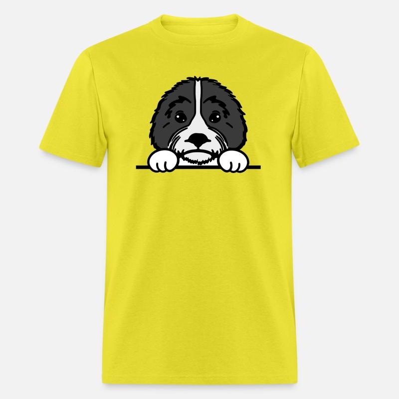 Shih Tzu Dog
