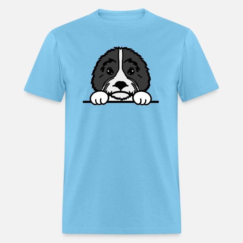Shih Tzu Dog