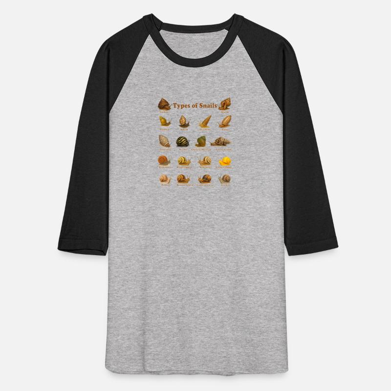 Snail Species, Types of Snail Land, Marine