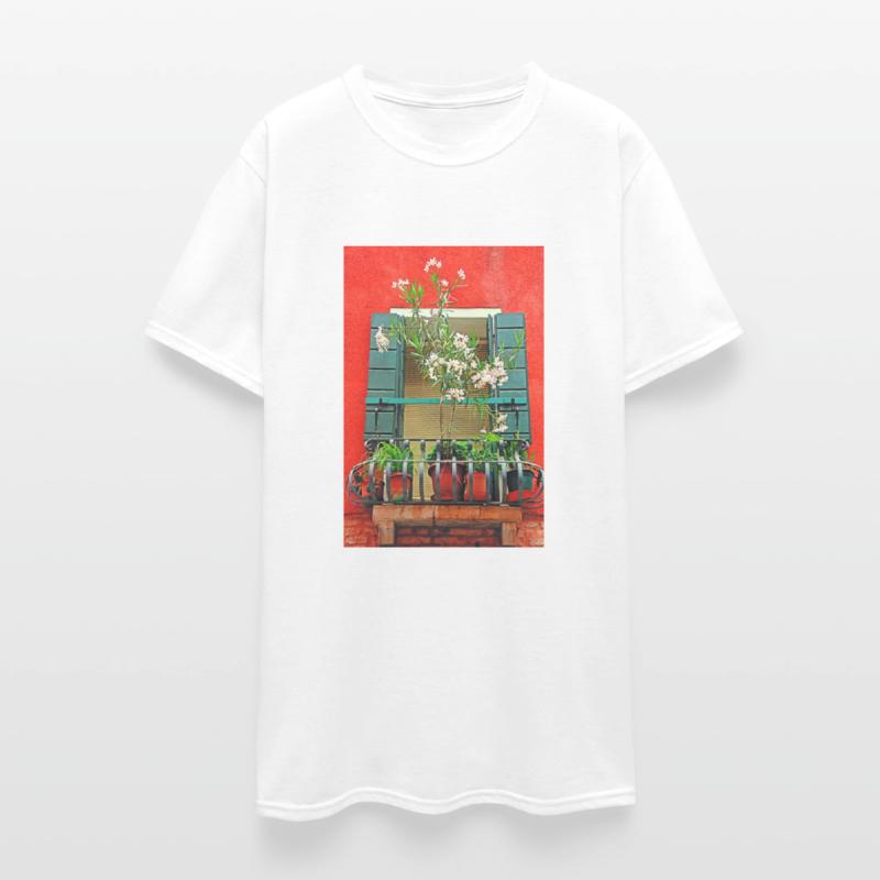 Windows of Venice Italy 9655