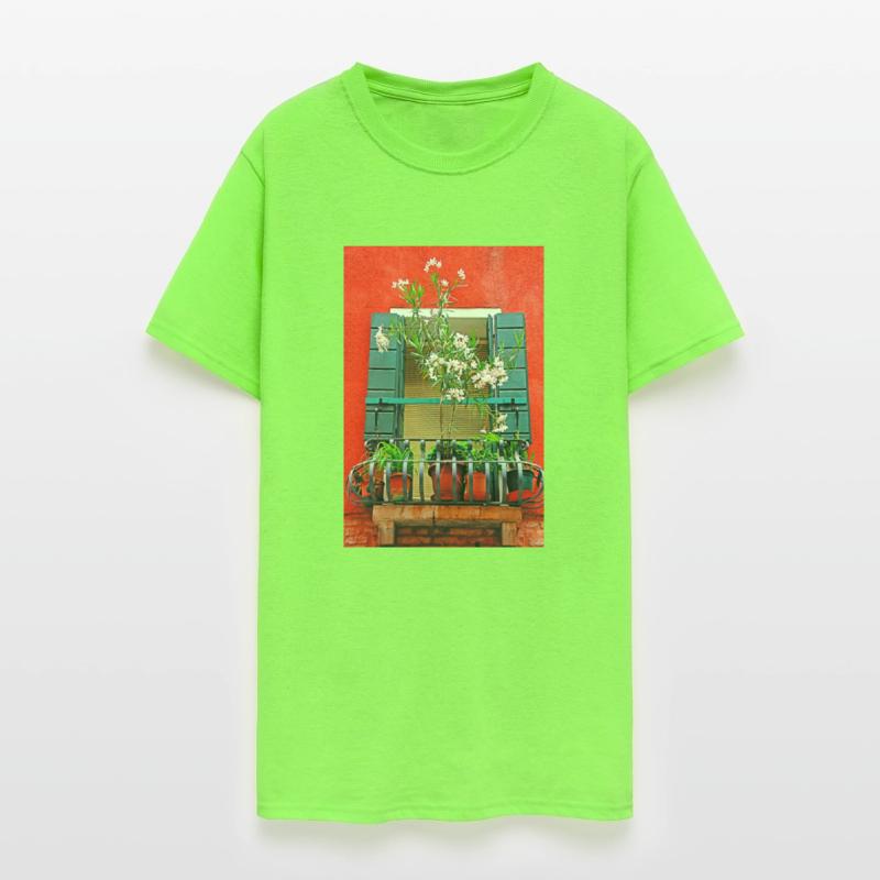 Windows of Venice Italy 9655