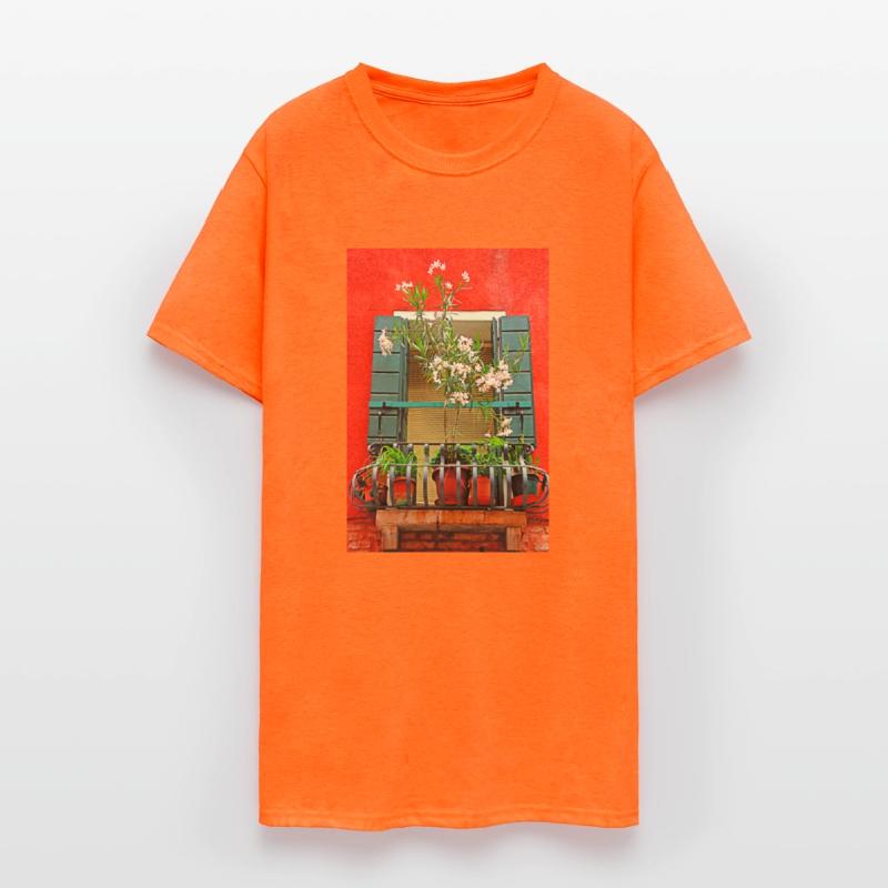 Windows of Venice Italy 9655