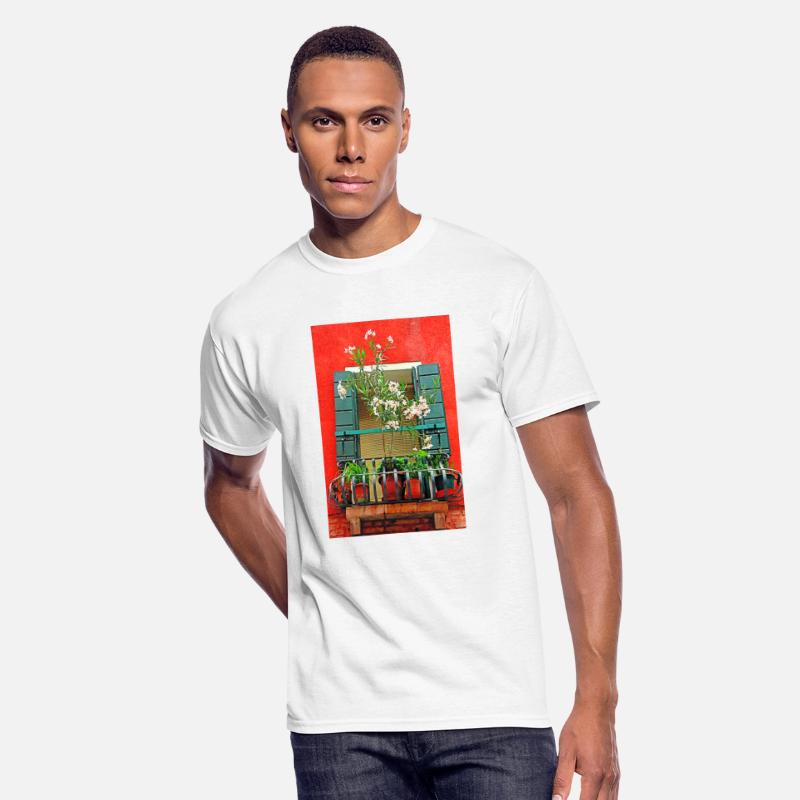 Windows of Venice Italy 9655